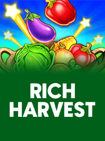 ZDZBET 🏆 Tênis Apostas • Passo a  第1张