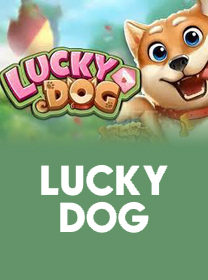 ZDZBET 🎮 Promoções de Bônus • Teste Grátis